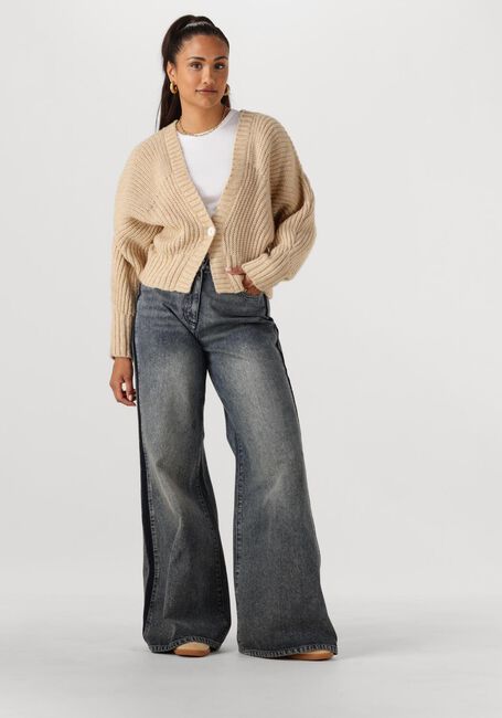 Beige NUKUS Pullover JOLIJN CARDIGAN - large