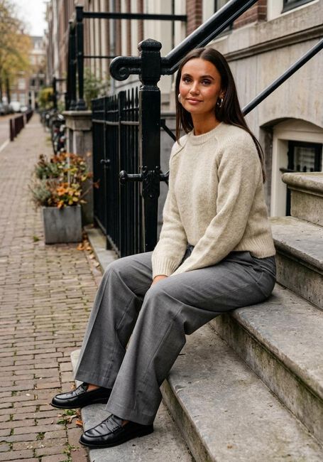 Sand WITHBLACK Pullover WBLANDREA LS CROPPED PULLOVER - large