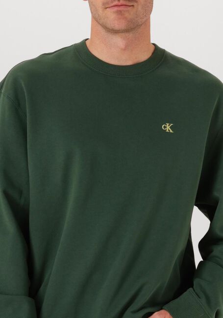 Dunkelgrün CALVIN KLEIN Sweatshirt LS EU 350TERRY MONOGRAM CN SWEAT - large