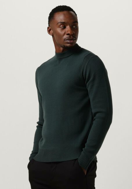 Gr&uuml;ne DSTREZZED Pullover FELL MOCK NECK - large