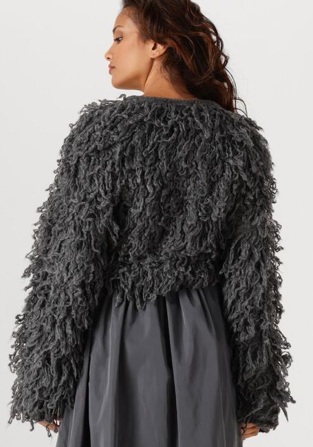 Dunkelgrau EDITED Pullover BO ALPACA WOOL JUMPER (GRS) - large