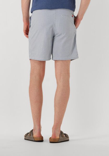 Hellblau TOMMY JEANS Kurze Hose TJM SEERSUCKER STP BEACH SHORT - large
