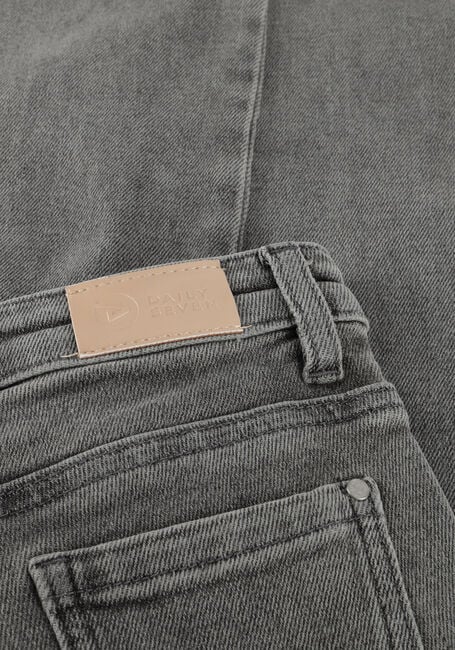 Graue DAILY7 Wide jeans 2300 WIDE FIT - large