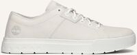 Weiße TIMBERLAND Sneaker Low MAPLE GROVE LOW Weiße TIMBERLAND Sneaker Low MAPLE GROVE LOW - medium
