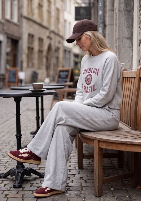 Graue DEBLON SPORTS Hosen JAYDEN WIDE LEG JOGGER - large