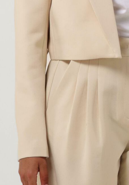 Beige CO'COUTURE Hose VOLA PLEATED LONG PANT - large