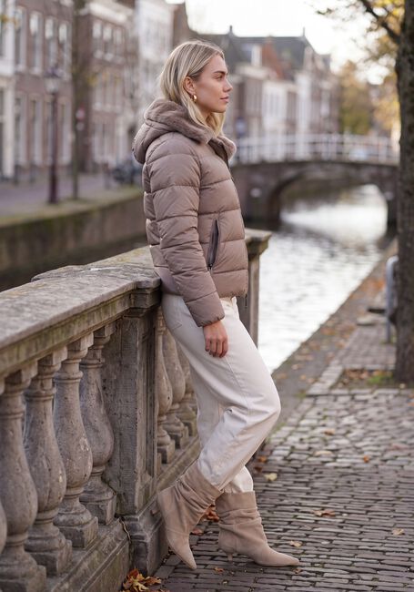 Taupe MOSCOW Wattierte Jack 21-08-SPENCER - large