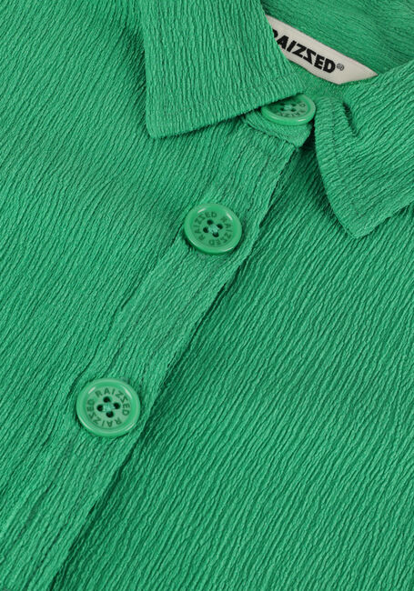 Gr&uuml;ne RAIZZED Blusen TELSA - large