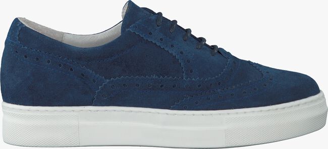 Blaue ROBERTO D'ANGELO Sneaker VIBORA - large