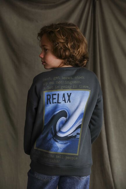 Dunkelgrau AMMEHOELA Sweatshirt ROCKY - large
