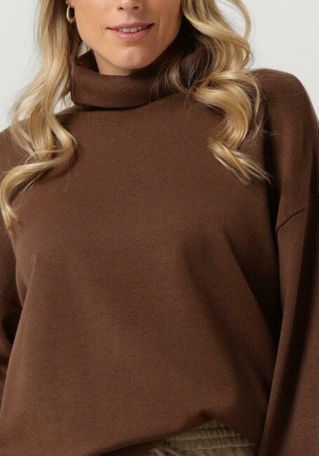 Braune MSCH COPENHAGEN Pullover MSCHODANNA RACHELLE R PULLOVER - large