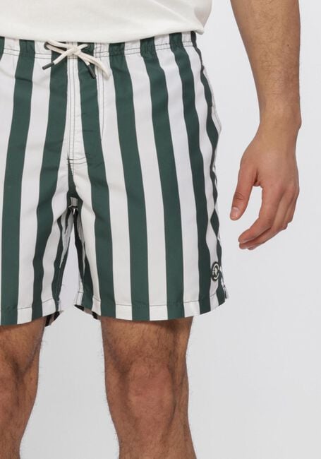 Gr&uuml;ne SHIWI Badehosen SWIMSHORT BROAD STRIPE - large