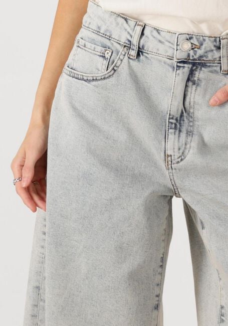 Graue CATWALK JUNKIE Kurze Hosen LOOSE FIT JORTS - large