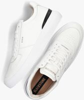 Weiße BLACKSTONE Sneaker low BG165 - medium