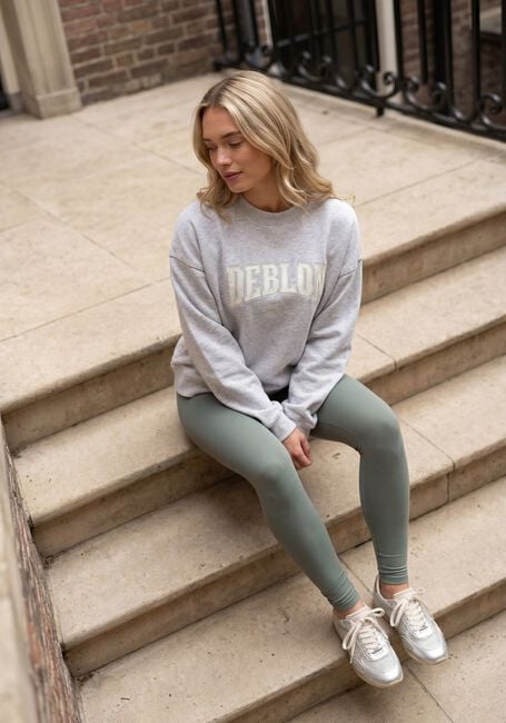 Hellgrau DEBLON SPORTS Sweatshirt LIOR SWEATER - large