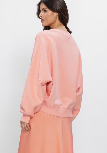 Rosane DRYKORN Pullover ASTERA_P4 - large