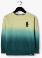 Mehrfarbige/Bunte Z8 Sweatshirt ALFRED - medium