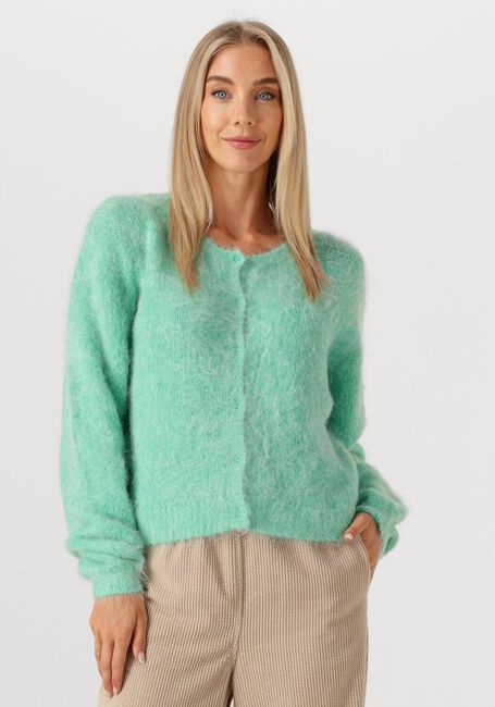 Minze AMERICAN VINTAGE Strickjacke NIBY - large