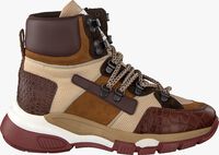 Mehrfarbige/Bunte TORAL Sneaker high 12207 - medium