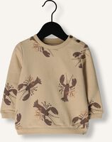 Beige Z8 Sweatshirt FRANCO Beige Z8 Sweatshirt FRANCO - medium