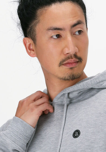 Hellgrau ANERKJENDT Sweatshirt AKNIGEL ORGANIC HOODIE - large