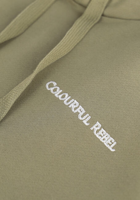 Grüne COLOURFUL REBEL Sweatshirt CR EST. 2013 BACK PRINT HOODIE - large