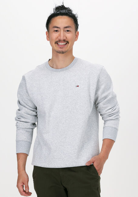 Hellgrau TOMMY JEANS Sweatshirt TJM REGULAR FLEECE C NECK - large