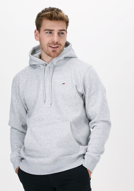 Hellgrau TOMMY JEANS Sweatshirt TJM REGULAR FLEECE HOODIE - large