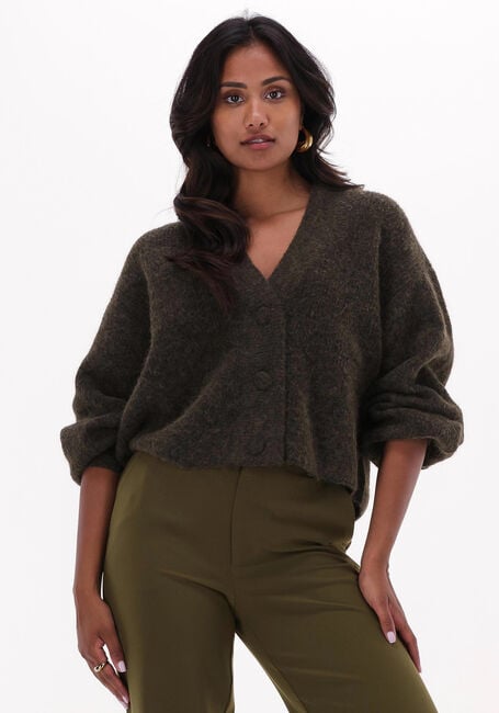 Dunkelgrün GESTUZ Strickjacke ALPHAGZ V-CARDIGAN - large