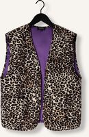 Braune REFINED DEPARTMENT Gilet AURA Braune REFINED DEPARTMENT Gilet AURA - medium