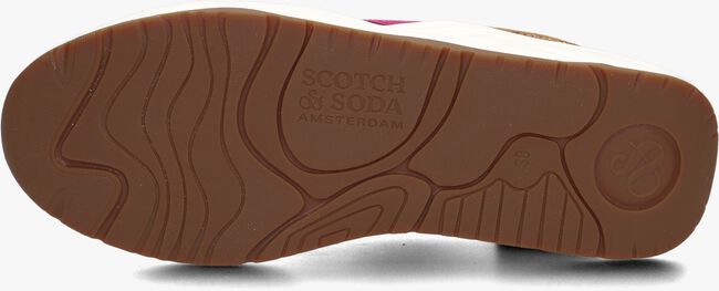 Braune SCOTCH & SODA Sneaker low CELEST - large