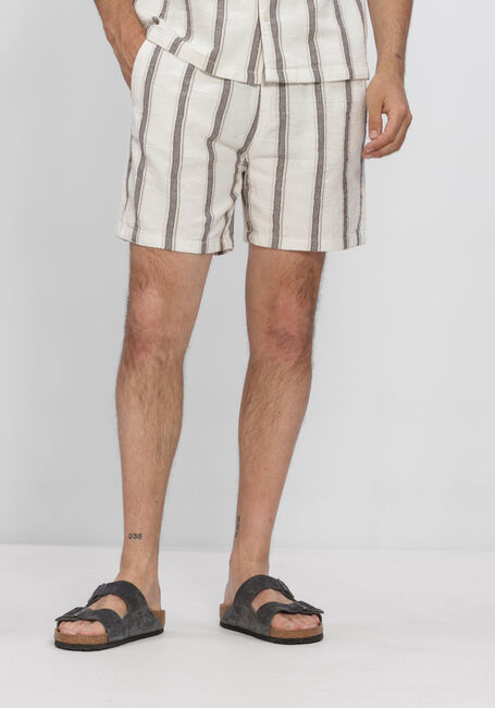 Mehrfarbige/Bunte PURE PATH Kurze Hose STRIPED SHORTS - large