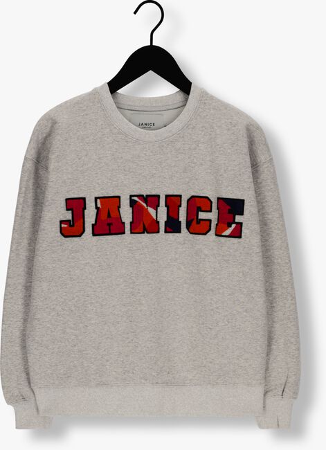 Graue JANICE Pullover SWEATER DAMES ANDY LOGO - large
