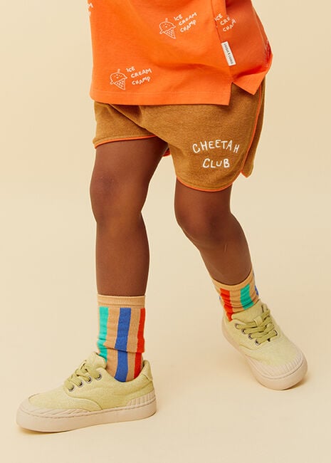 Mehrfarbige/Bunte Sproet & Sprout Socken SOCKS MULTI STRIPE GREEN - large