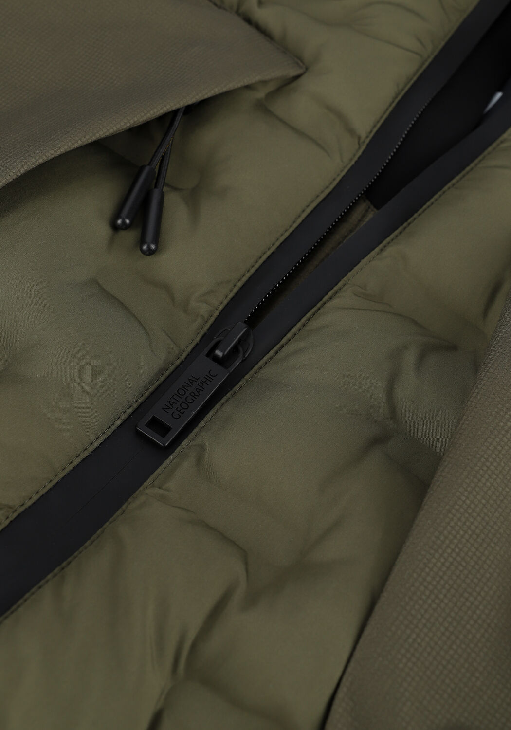 Olive NATIONAL GEOGRAPHIC Wattierte Jack HOODED JACKET - large