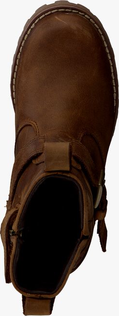 Braune TIMBERLAND Ankle Boots ASPHALT TRL - large