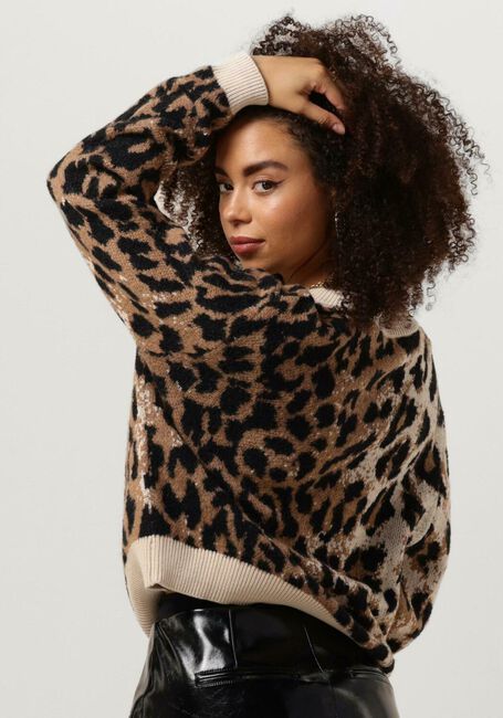 Braune CATWALK JUNKIE Sweatshirt KN DOVER - large