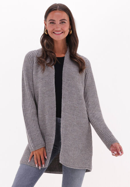 Taupe DRYKORN Strickjacke BLUMA 422001 - large