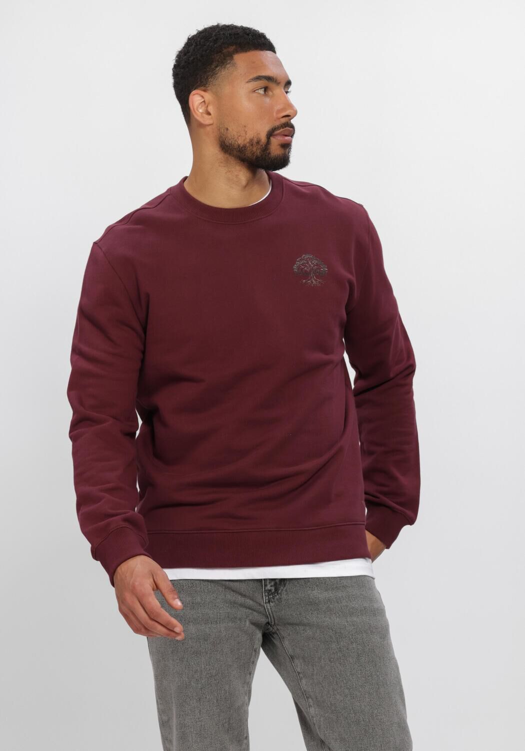 Bordeaux PURE PATH Pullover ROOTED TREE - large