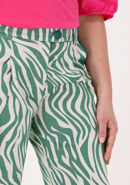 Grüne SILVIAN HEACH Hose BUZZIP - large