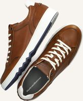Cognacfarbene FLORIS VAN BOMMEL Sneaker Low SFM-10183 KUPSTER Cognacfarbene FLORIS VAN BOMMEL Sneaker Low SFM-10183 KUPSTER - medium