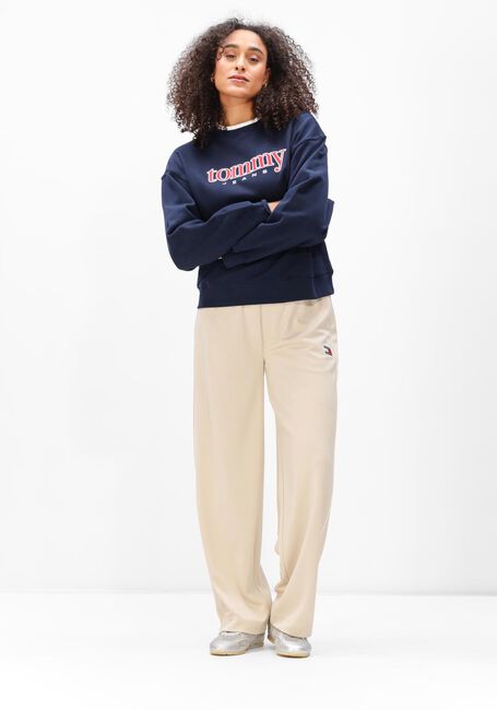 Dunkelblau TOMMY JEANS Tops & T-shirts TJW BXY TOMMY APPLIQUE CREW - large