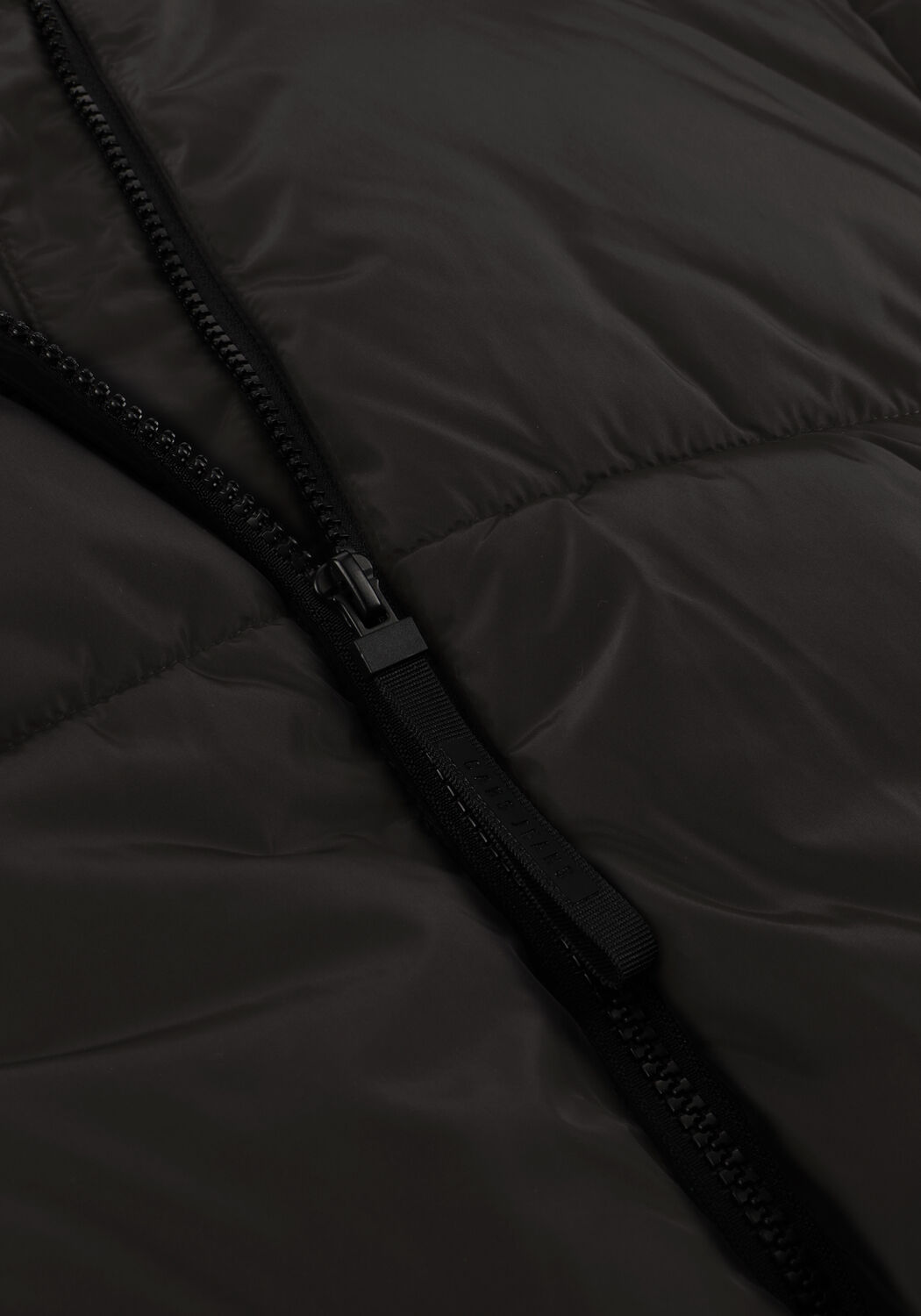 Schwarze CARS JEANS Wattierte Jack RYTA - large