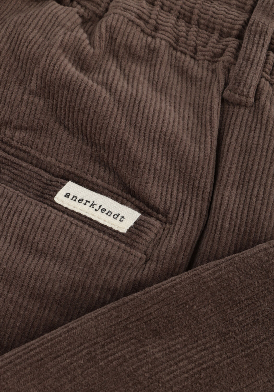 Braune ANERKJENDT Chino AKJAN ELASTIC CORD PANTS - large