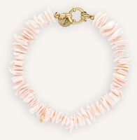 Rosane BONNIE STUDIOS Armbänder PINK SHELL BRACELET Rosane BONNIE STUDIOS Armbänder PINK SHELL BRACELET - medium