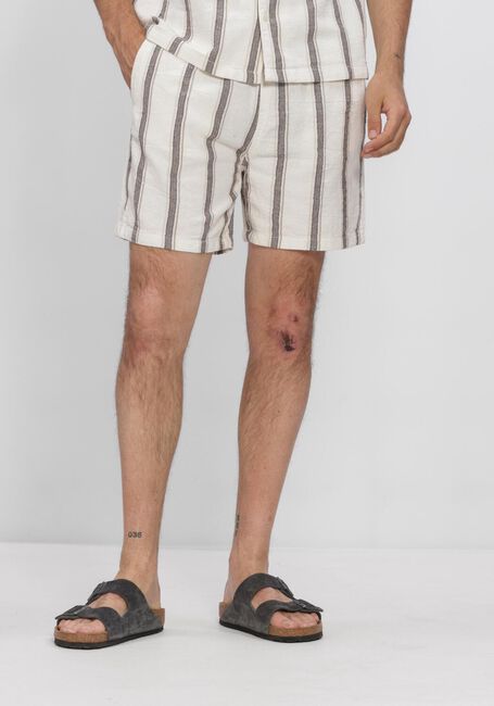 Mehrfarbige/Bunte PURE PATH Kurze Hose STRIPED SHORTS - large