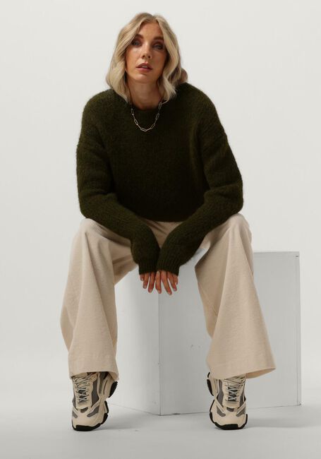 Grüne CIRCLE OF TRUST Pullover JOY KNIT - large