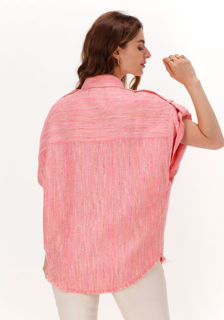 Rosane IRO Blusen FAHS - large