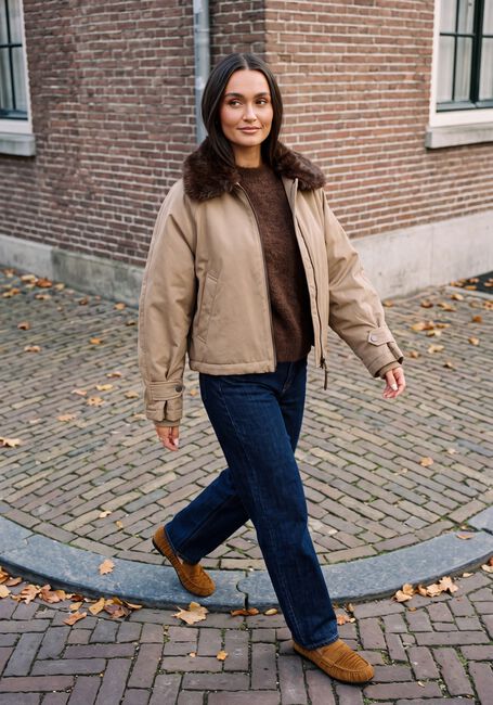 Beige BEAUMONT Jack DINA JACKET - large