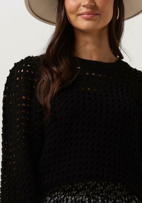 Schwarze MODSTRÖM Pullover CAMDEN MD O-NECK - large